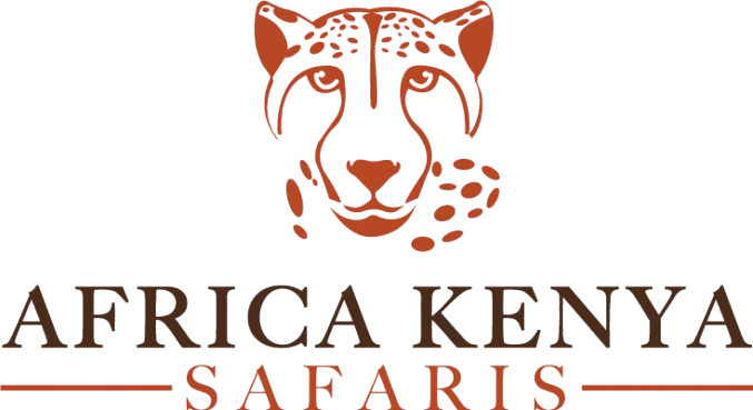 African Booking