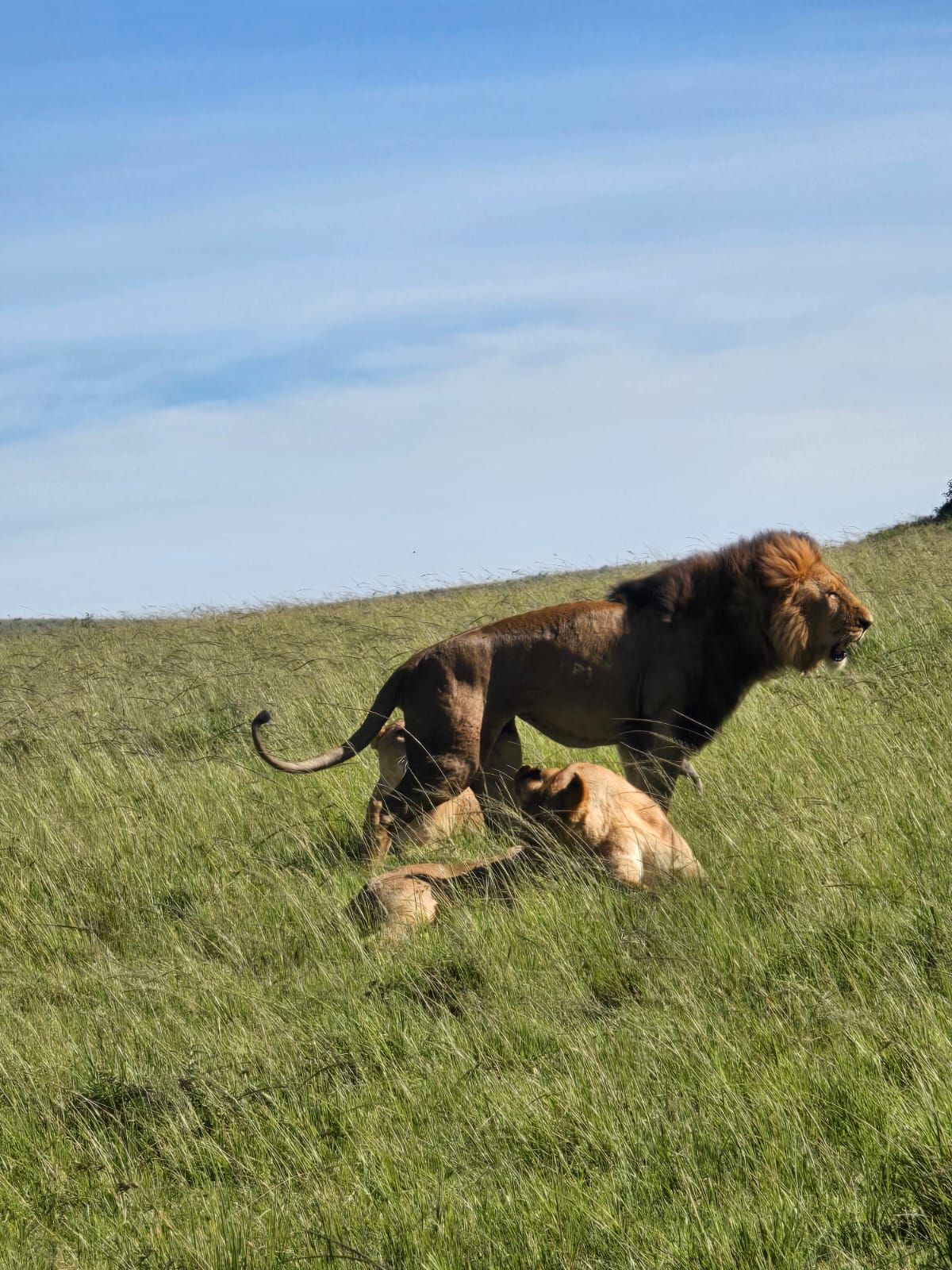 10 Day Best of Kenya Safari