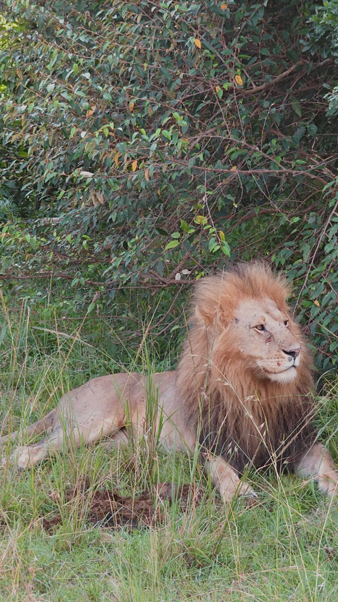 11 Days Magical Kenya Safari