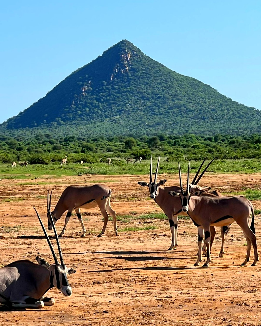 9 Day Amboseli, Lake Naivasha, Samburu, Lake Nakuru & Maasai Mara Safari
