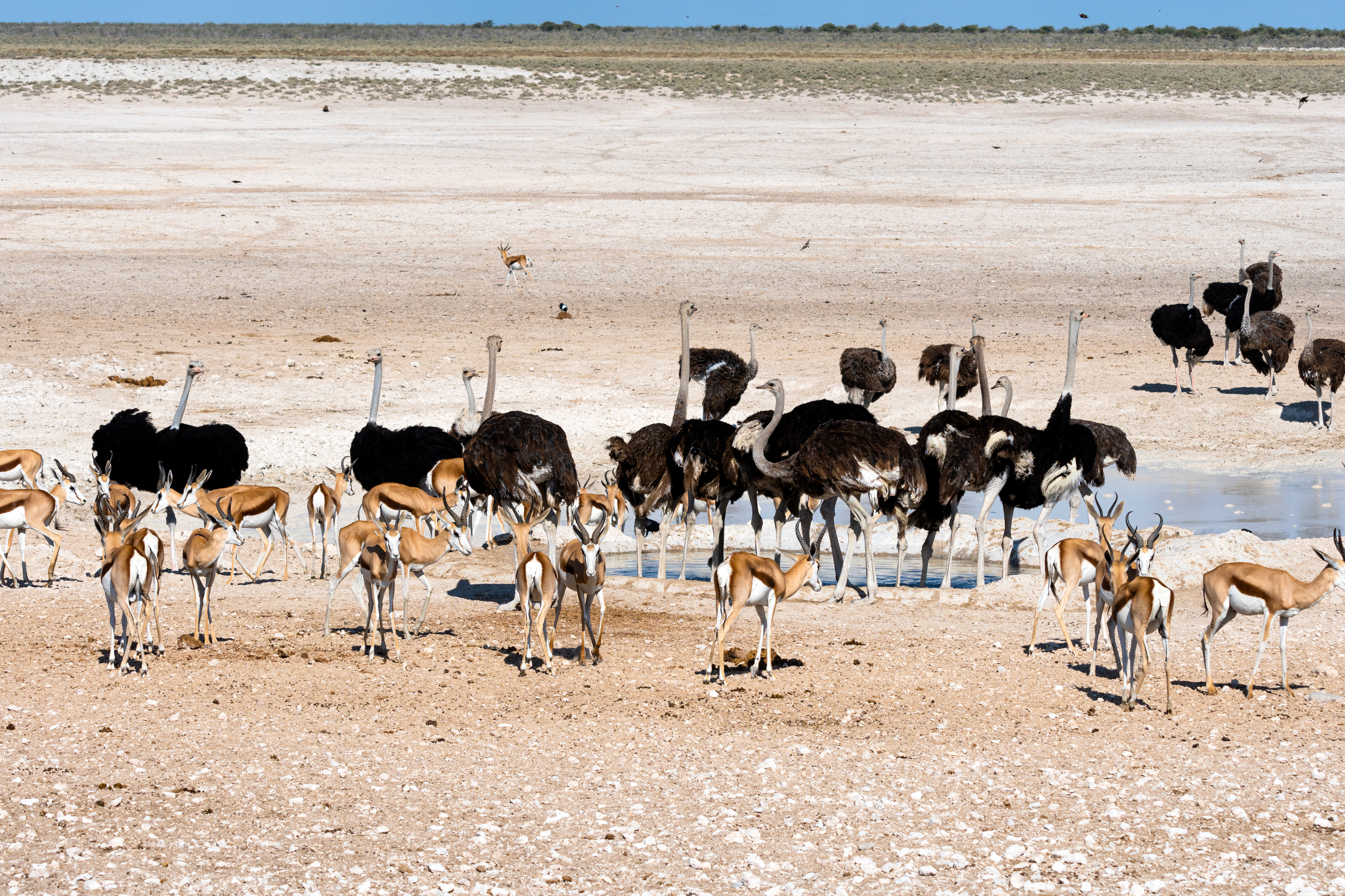 Samburu National Park