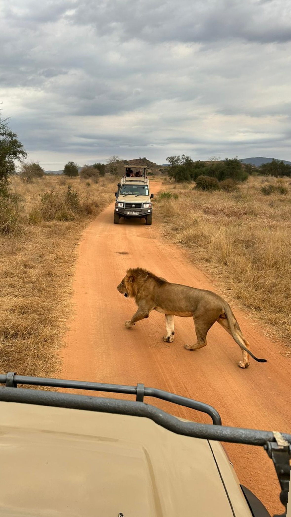 Tsavo East Day Safari